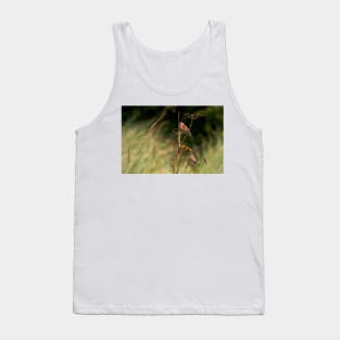 Two Linnets Tank Top